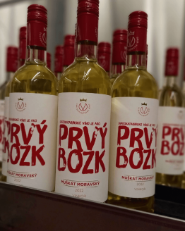 Mladé biele víno Muškát Moravský 2022 z rodinného vinárstva Vinkor